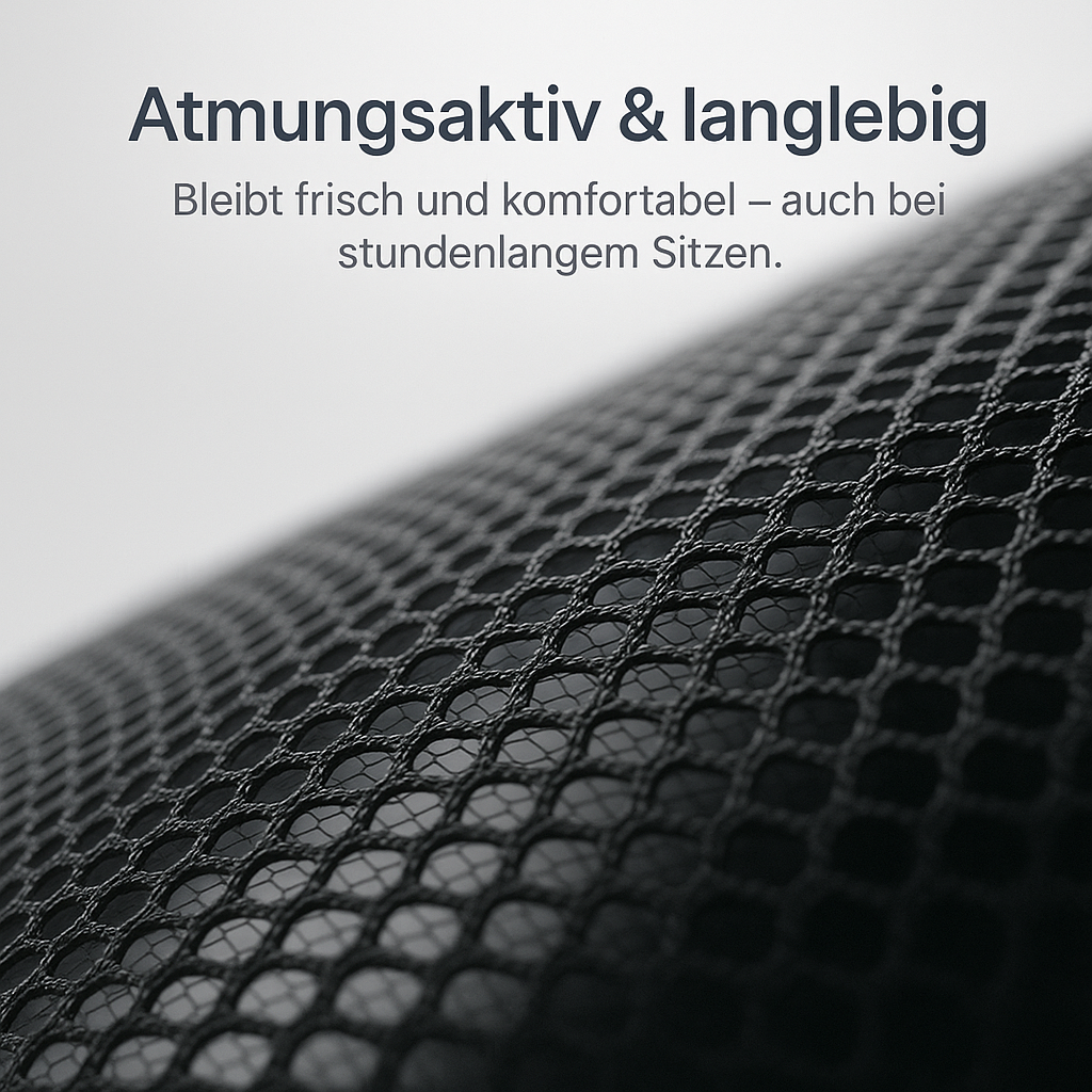 BackAxis – Rückenkomfort verbessern