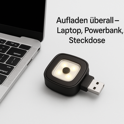 Polario – Wärme trifft Helligkeit