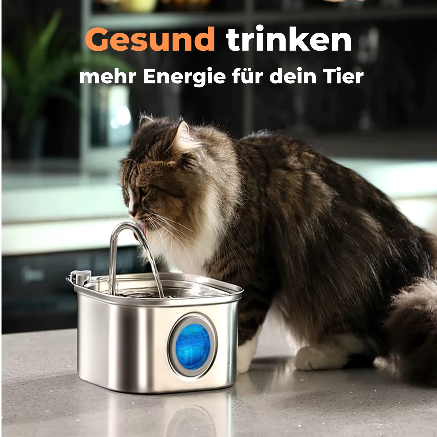 PuraPaws Automatischer Katzenbrunnen – Leise, Hygienisch & Langlebig für gesunde Haustiere