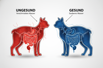 die Texte muss auf Deutsch sein